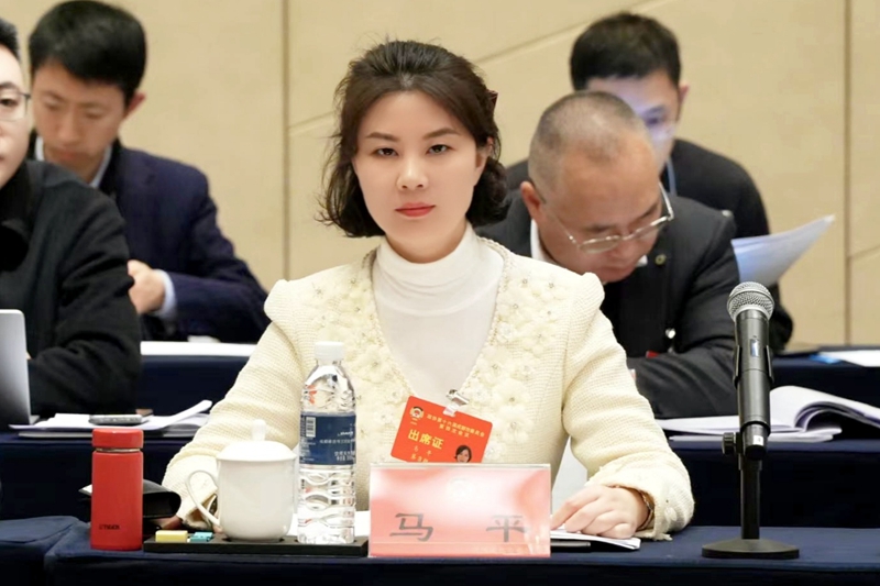 成都市政协委员马平：建议成都构建韧性强的排水防涝体系